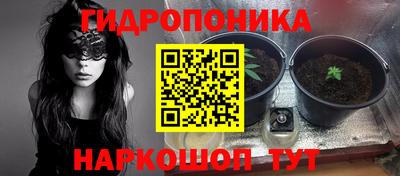 амф Краснознаменск