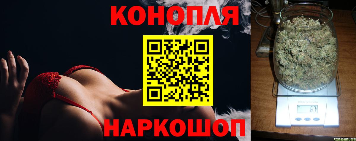 Бошки Шишки Ganja  Вход с VPN  Камышлов  Канабис сатива 
